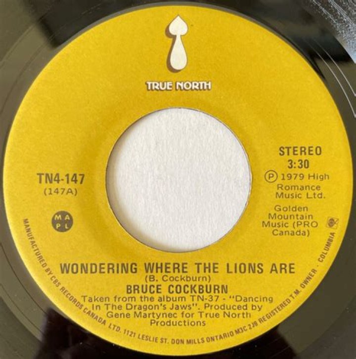 The Meaning Behind The Song: Wondering Where the Lions Are by Bruce Cockburn