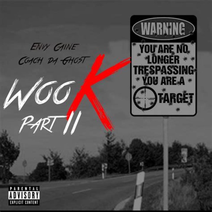 The Meaning Behind The Song: Woo K, Pt. 2 by Envy Caine