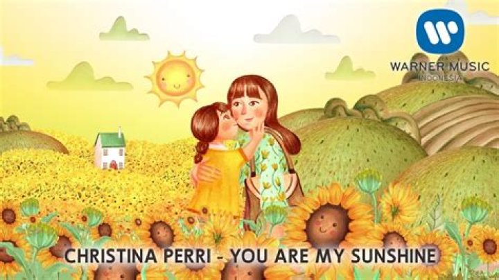 The Meaning Behind The Song: You Are My Sunshine by Christina Perri