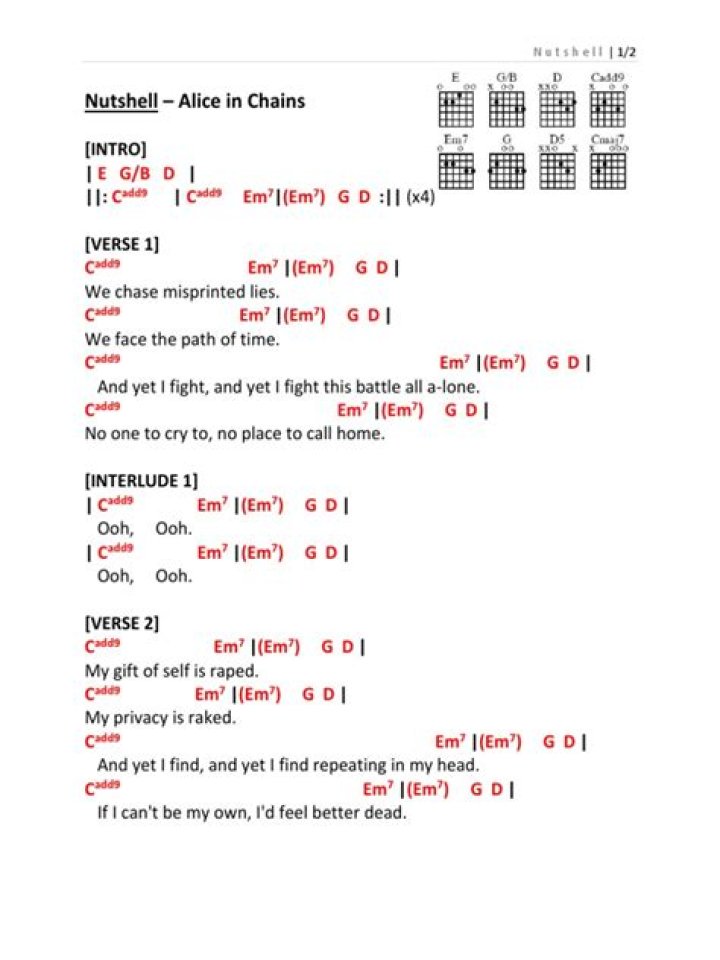 The Meaning Behind The Song: Your Decision by Alice in Chains