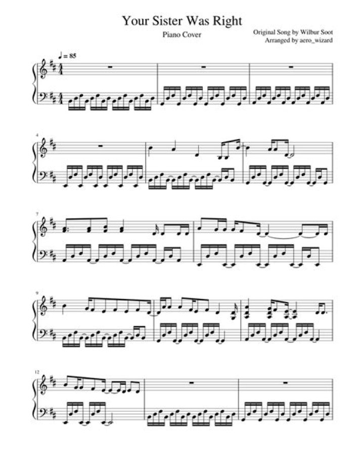 The Meaning Behind The Song: Your Sister Was Right by Wilbur