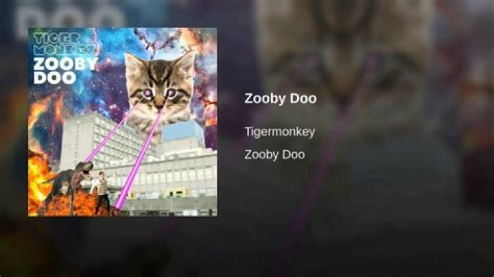 The Meaning Behind The Song: Zooby Doo by Tigermonkey
