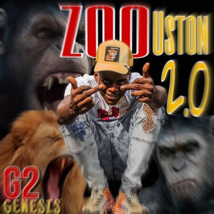 The Meaning Behind The Song: Zoouston by G2 Genesis