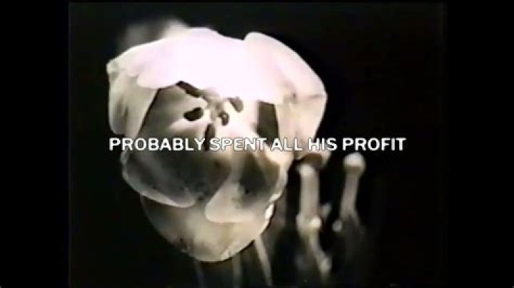 The noose around my neck and pull me in lyrics