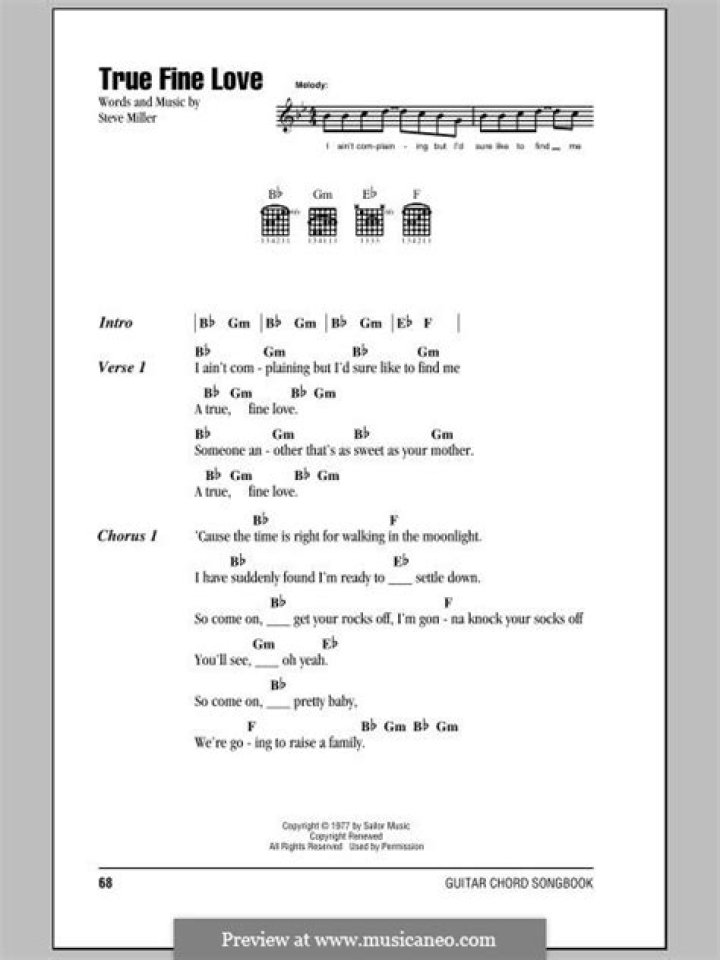 TRUE FINE LOVE CHORDS by Steve Miller Band