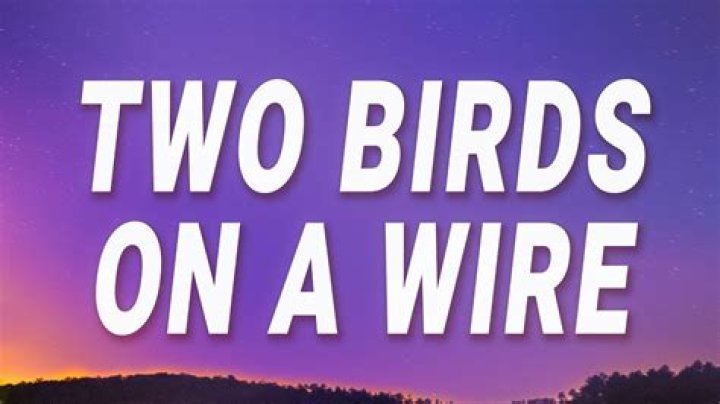Two birds on a wire one tries to fly away and the other lyrics