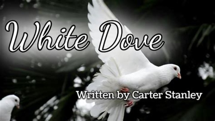Two white dove lyrics