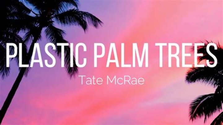 Underneath palm trees lyrics