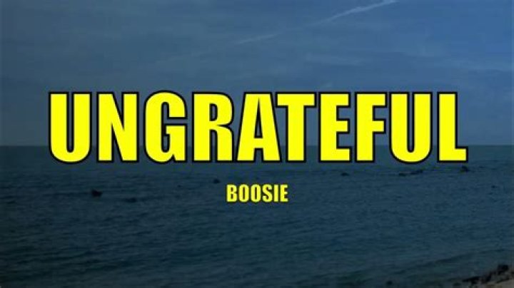Ungrateful lil boosie lyrics