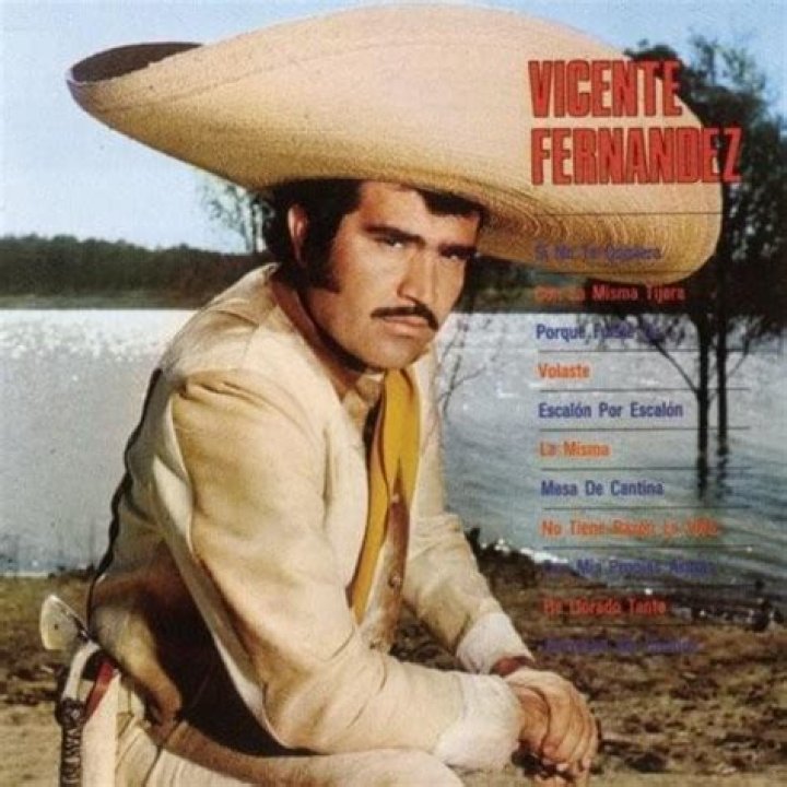 Vicente Fernández La Misma Lyrics