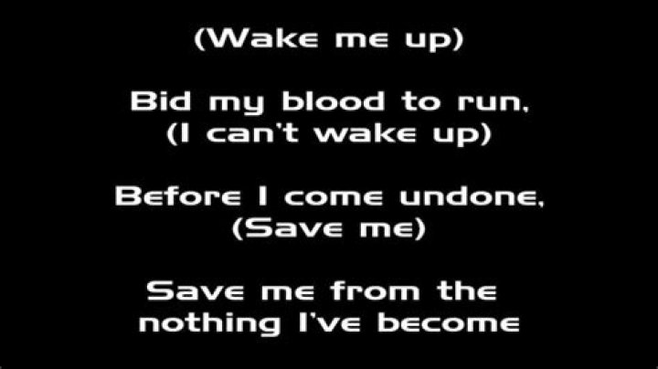 Wake me up,inside lyrics