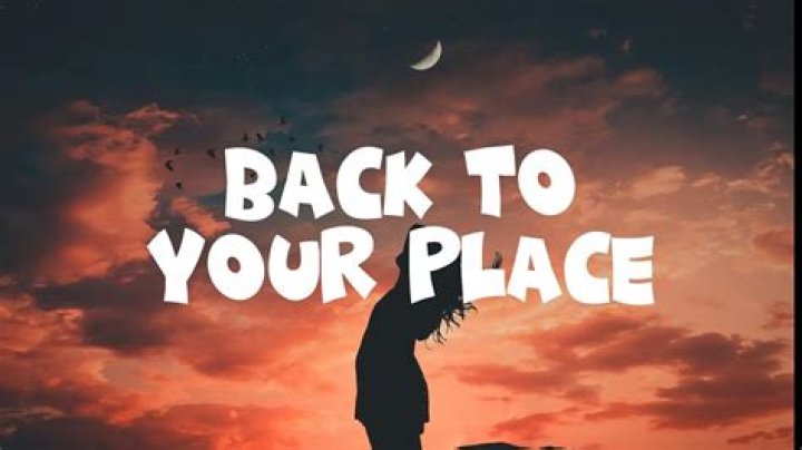 We should go back to my place lyrics