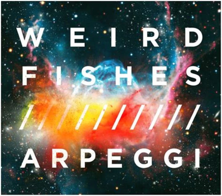 WEIRD FISHES ARPEGGI BASS by Radiohead