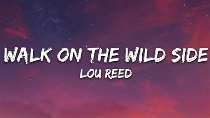 Welcome to wild side lyrics