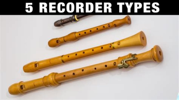 What Are The 5 Main Types Of Recorders?