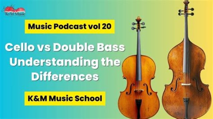 What’s the Difference Between a Cello and Double Bass