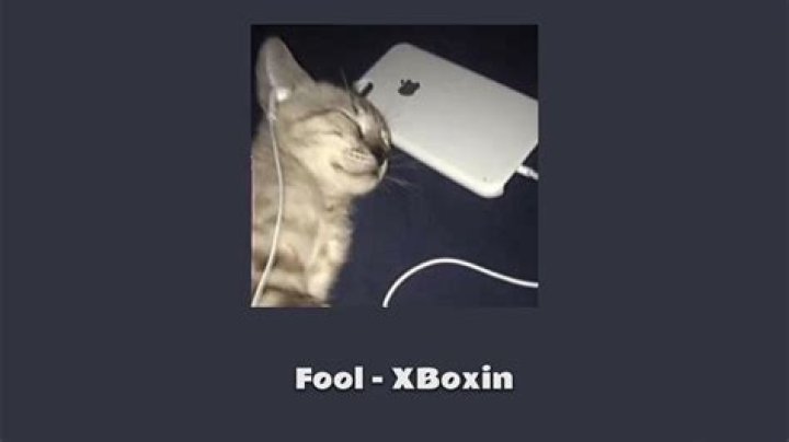 Xboxin fool fools lyrics