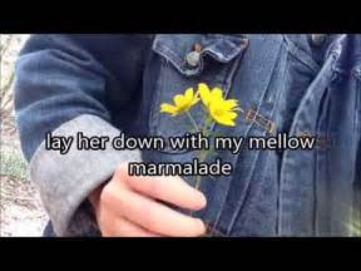 Yellow mellow lyrics
