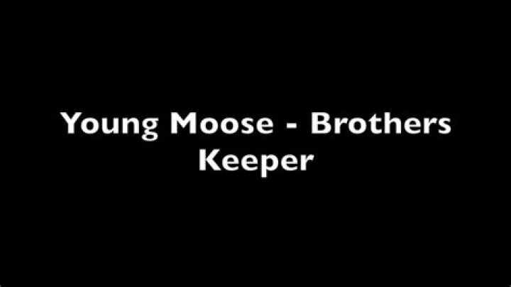 Young moose lyrics