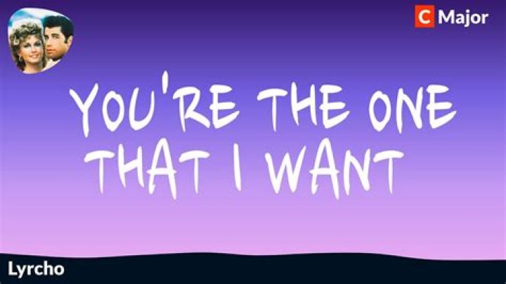 Your the one that i want lyrics